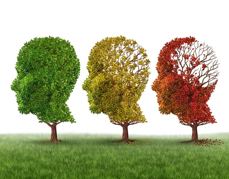 What You Need to Know About Memory Loss