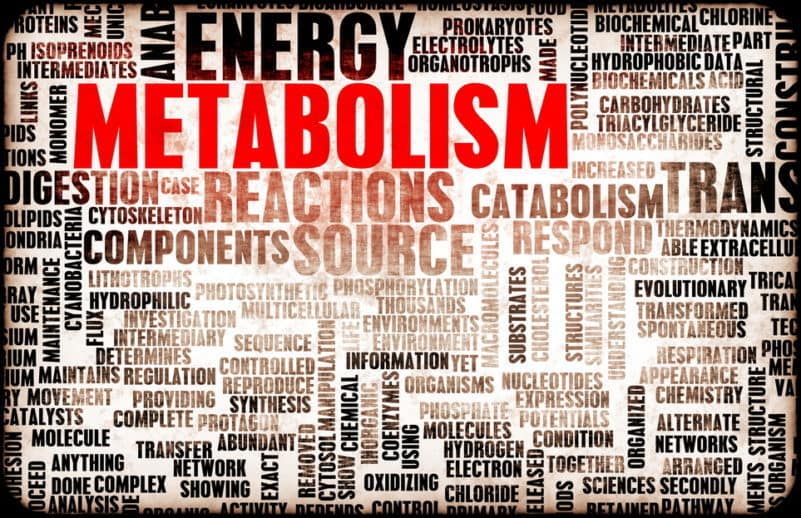 7 Ways to Boost Your Metabolism