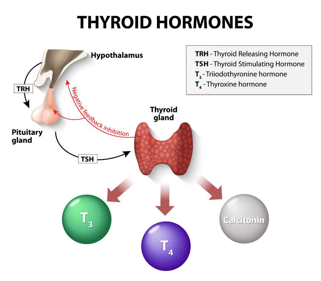 Thyroid disorders 