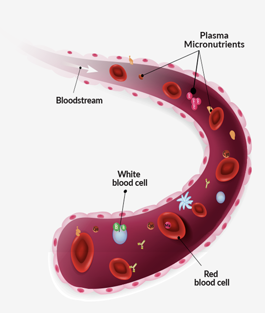 micronutrients in bloodstream